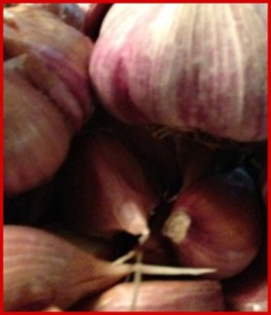 Brown Rose Garlic