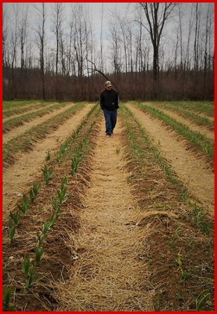 Garlic Farmer